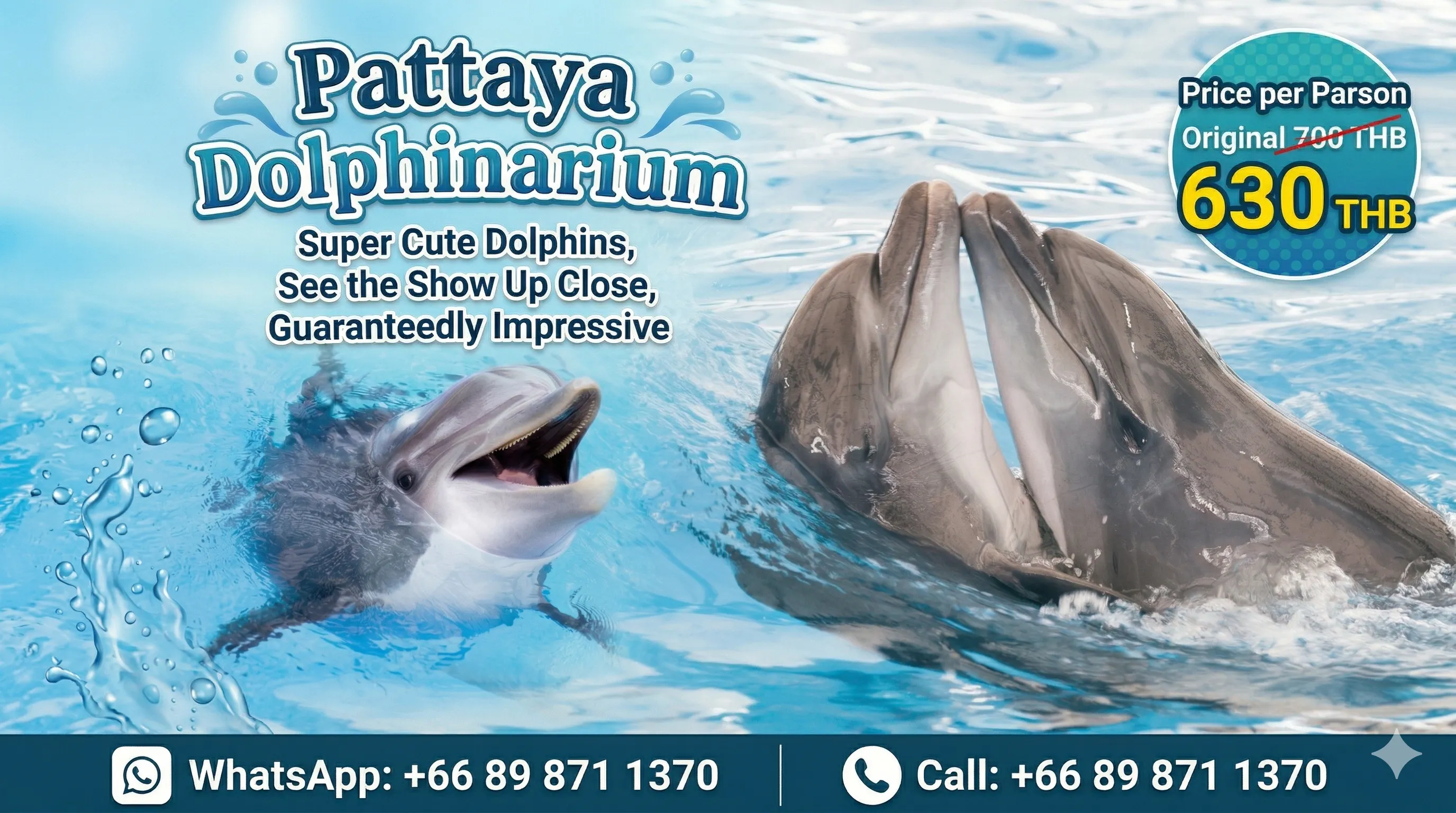 Pattaya Dolphinarium admission ticket with discount price